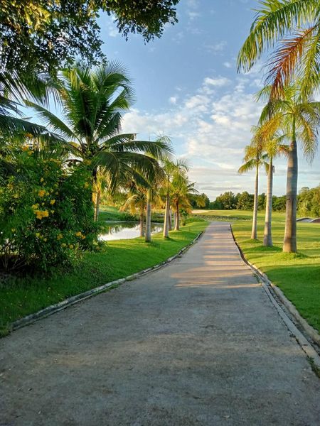 สนามกอล์ฟหริภุญชัย กอล์ฟคลับ grass road nature golf course and tree