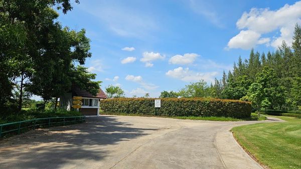 สนามกอล์ฟหริภุญชัย กอล์ฟคลับ grass