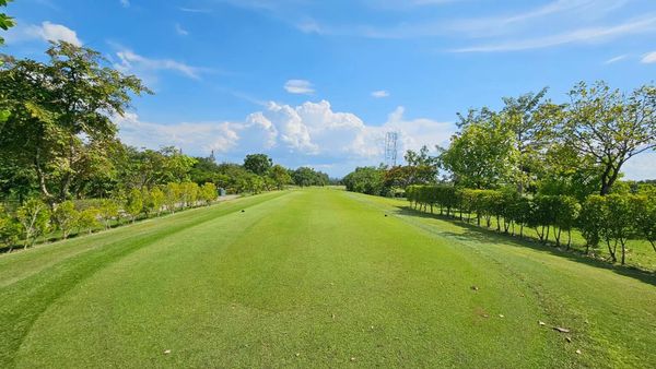 สนามกอล์ฟหริภุญชัย กอล์ฟคลับ golf cart and golf course