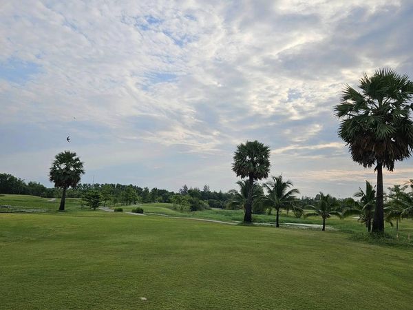 สนามกอล์ฟหริภุญชัย กอล์ฟคลับ golf tree golf course and grass