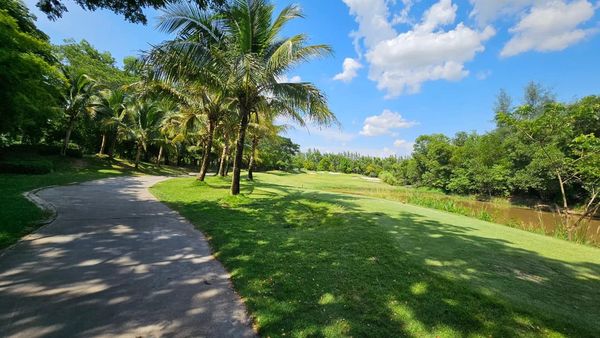 สนามกอล์ฟหริภุญชัย กอล์ฟคลับ golf cart tree grass and golf course
