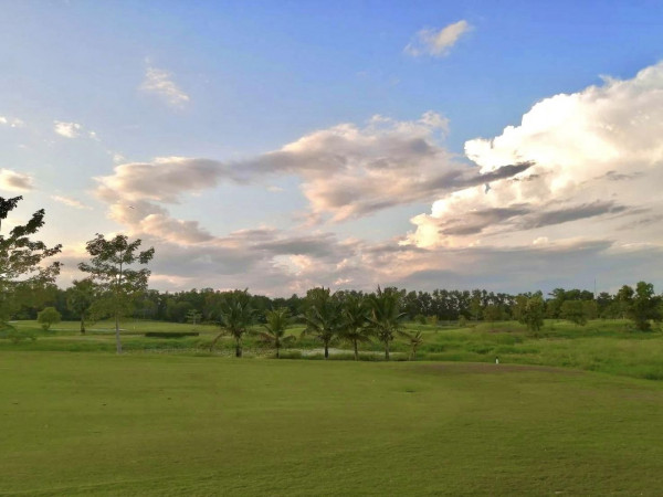 สนามกอล์ฟหริภุญชัย กอล์ฟคลับ nbsp golf golf cart twilight grass golf course and tree