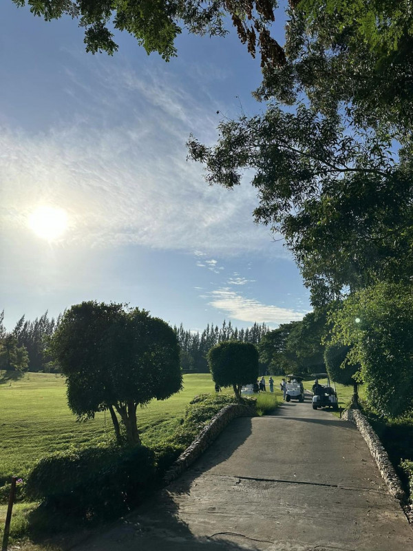 สนามกอล์ฟหริภุญชัย กอล์ฟคลับ nbsp 1 person golf course fog twilight road tree and grass