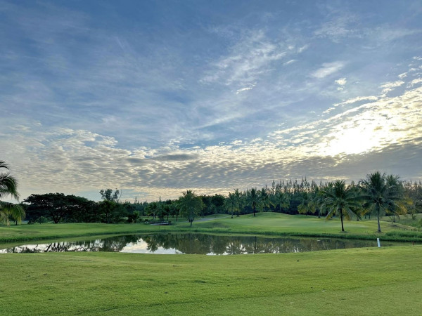 สนามกอล์ฟหริภุญชัย กอล์ฟคลับ nbsp golf golf course twilight and grass