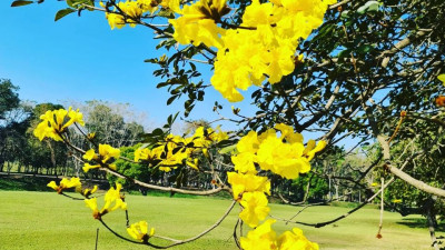 รวมชอตสวยๆของโปรจีโน่
