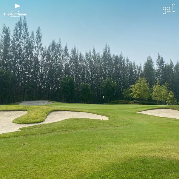 golf course grass tree nature and text golf course grass tree nature and text