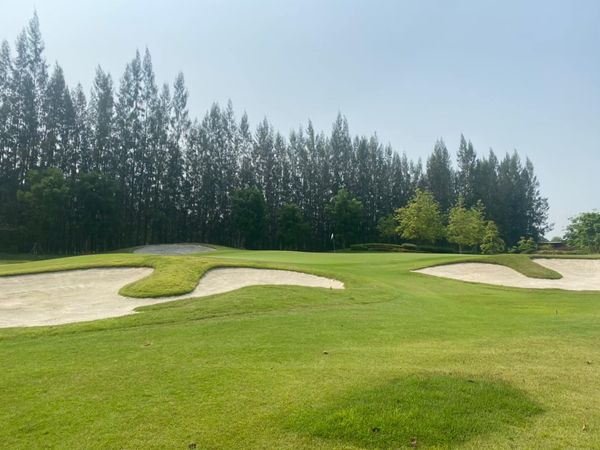 golf course grass and nature golf course grass and nature
