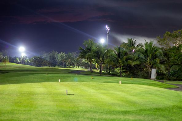 grass golf course and nature