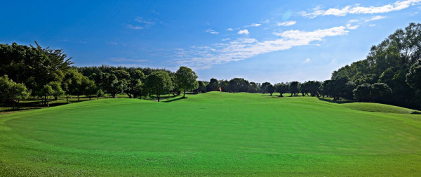 Mae Jo Golf Club And Resort tree golf course grass and nature