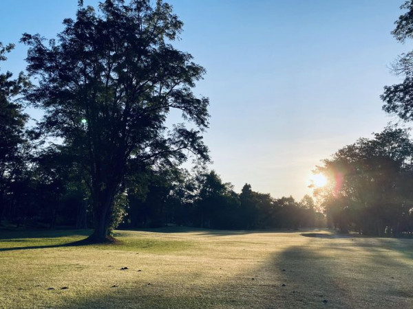 Lanna Golf Club twilight tree and nature