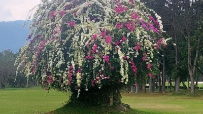 Lanna Golf Club