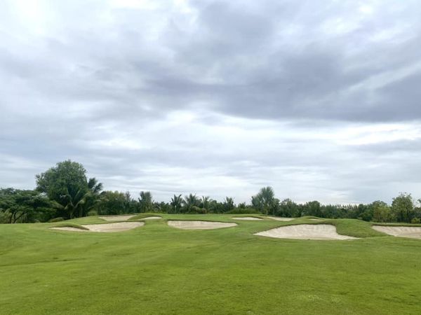 สนามกอล์ฟหริภุญชัย กอล์ฟคลับ grass nature and golf course สนามกอล์ฟหริภุญชัย กอล์ฟคลับ grass nature and golf course