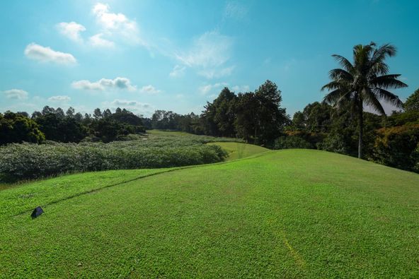 Mae Jo Golf Club And Resort tree nature and grass Mae Jo Golf Club And Resort tree nature and grass