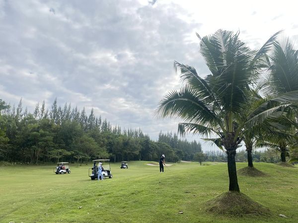 สนามกอล์ฟหริภุญชัย กอล์ฟคลับ 2 people tree and grass