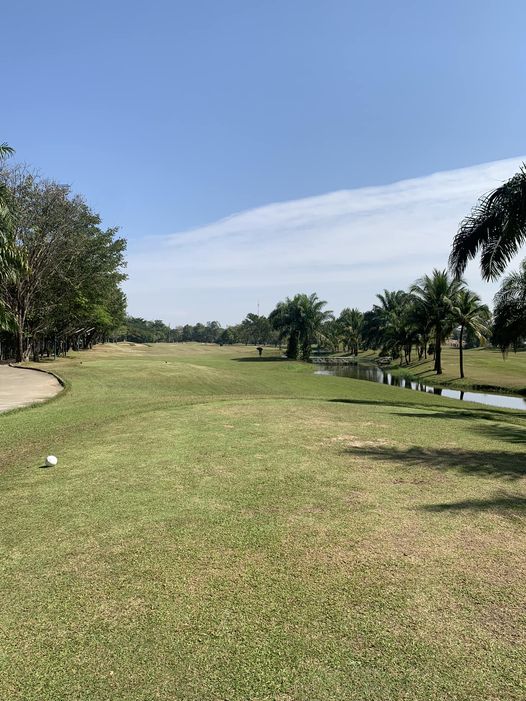 Stardome Golf Club grass golf course and tree
