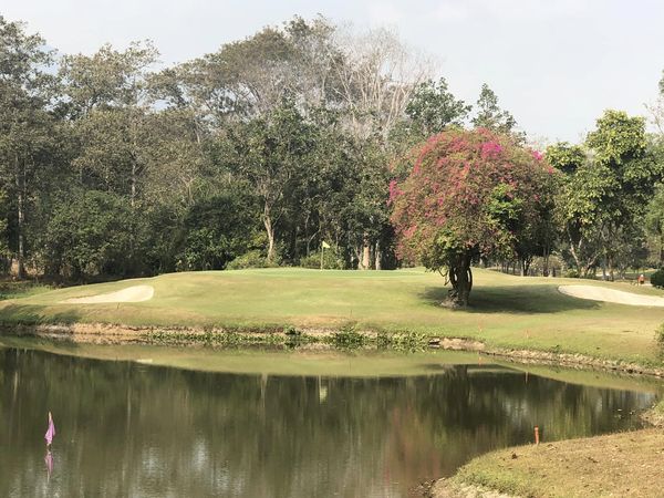 Lanna Golf Club grass tree nature and golf course