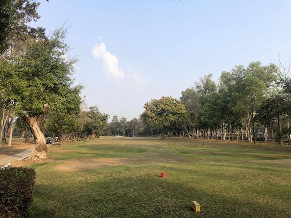 Lanna Golf Club tree and grass