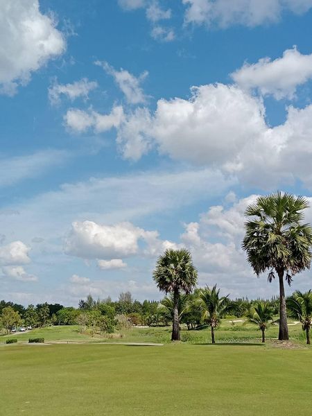 สนามกอล์ฟหริภุญชัย กอล์ฟคลับ sky grass nature tree and golf course
