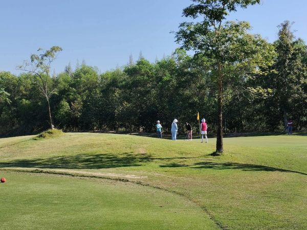 สนามกอล์ฟหริภุญชัย กอล์ฟคลับ 4 people golf course tree and grass