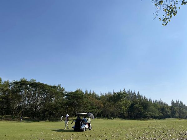 สนามกอล์ฟหริภุญชัย กอล์ฟคลับ 4 people tree grass and nature