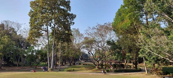 Lanna Golf Club 2 people sky and tree