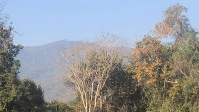Lanna Golf Club