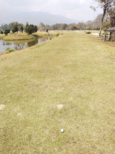 Lanna Golf Club grass nature golf course and tree