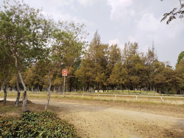 Lanna Golf Club sky road and tree