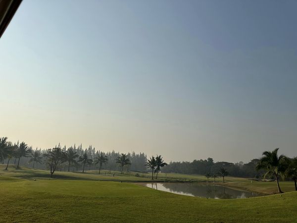 สนามกอล์ฟหริภุญชัย กอล์ฟคลับ nature grass and golf course