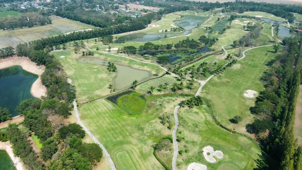 สนามกอล์ฟหริภุญชัย กอล์ฟคลับ golf course and grass