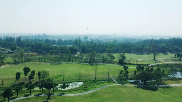 สนามกอล์ฟหริภุญชัย กอล์ฟคลับ golf course sky tree and grass