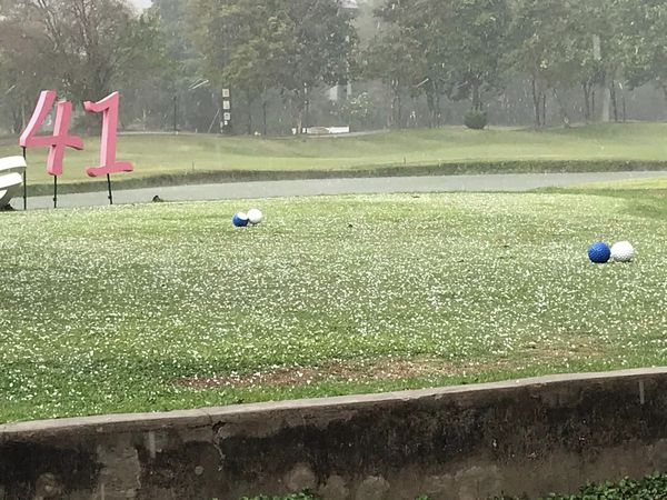 Stardome Golf Club grass