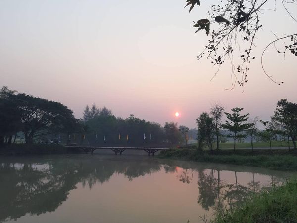 สนามกอล์ฟหริภุญชัย กอล์ฟคลับ twilight fog and lake