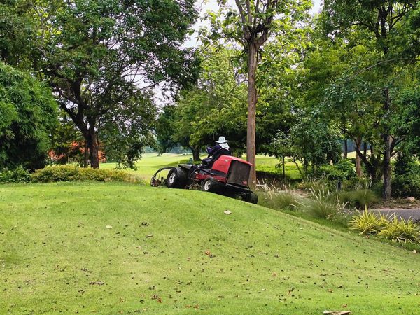 Alpinegolfresort Chiangmai golf tractor golf cart grass and golf course