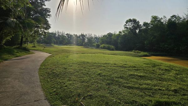 สนามกอล์ฟหริภุญชัย กอล์ฟคลับ golf golf cart golf course fog grass and tree