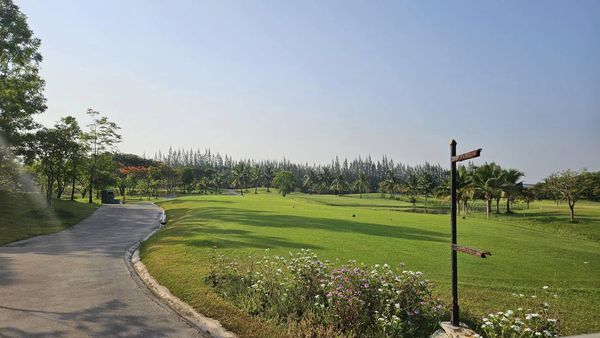 สนามกอล์ฟหริภุญชัย กอล์ฟคลับ golf golf cart grass and golf course