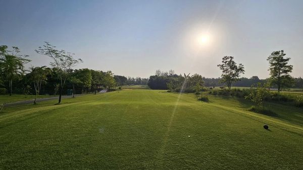 สนามกอล์ฟหริภุญชัย กอล์ฟคลับ golf twilight fog golf course grass horizon and tree