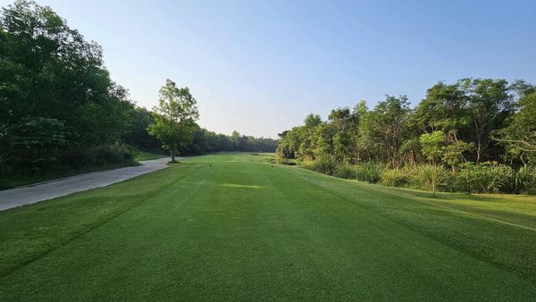 สนามกอล์ฟหริภุญชัย กอล์ฟคลับ golf golf cart golf course and grass