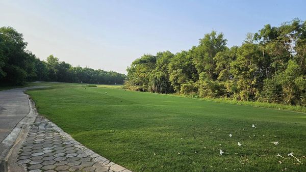 สนามกอล์ฟหริภุญชัย กอล์ฟคลับ golf golf cart golf course grass and tree
