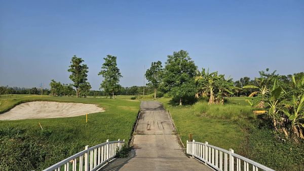 สนามกอล์ฟหริภุญชัย กอล์ฟคลับ road grass and golf course