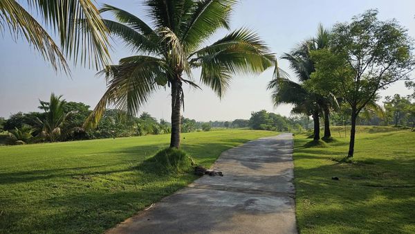 สนามกอล์ฟหริภุญชัย กอล์ฟคลับ tree fog grass road horizon and golf course