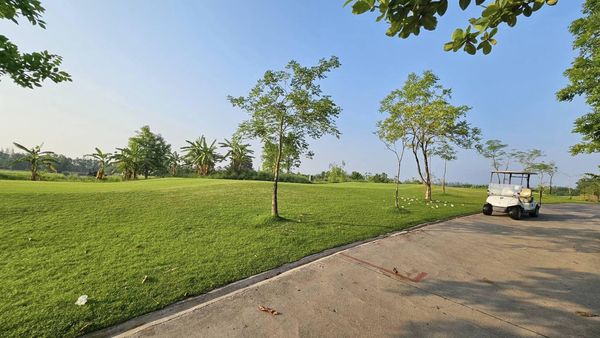สนามกอล์ฟหริภุญชัย กอล์ฟคลับ golf golf cart tree golf course and grass