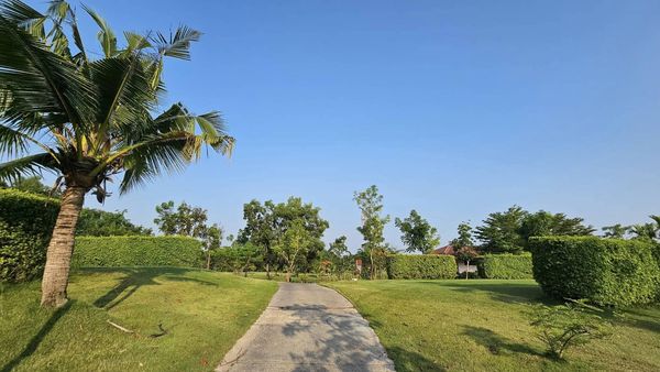 สนามกอล์ฟหริภุญชัย กอล์ฟคลับ horizon tree grass and golf course