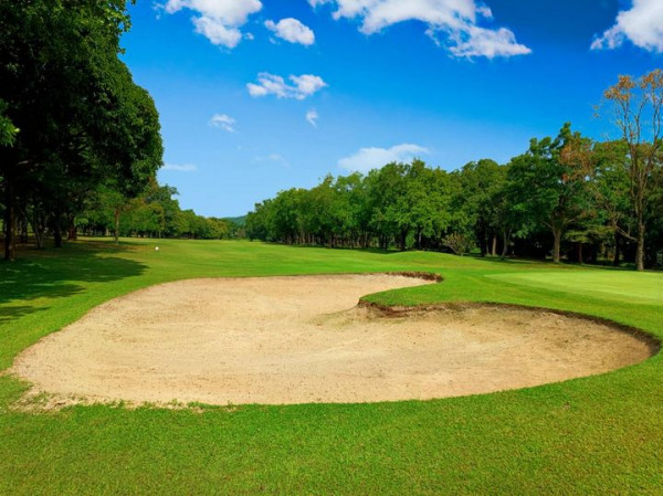 grass golf course and nature
