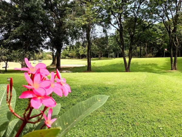 Royal Hua Hin Golf Course flower nature and tree