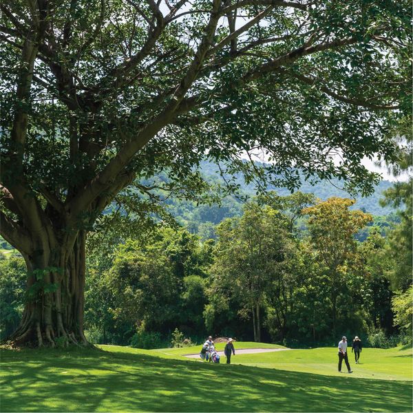 Banyan Golf Club Hua Hin 4 people tree grass and nature