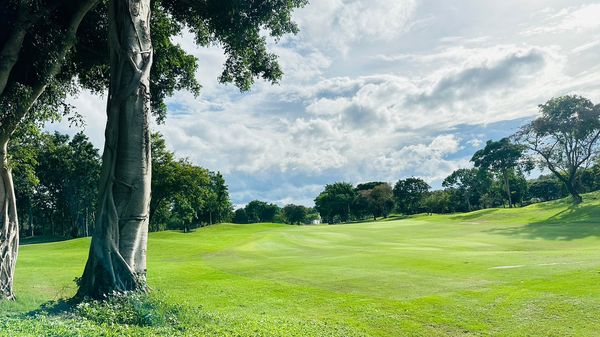 Springfield Royal Country Club grass golf course and tree