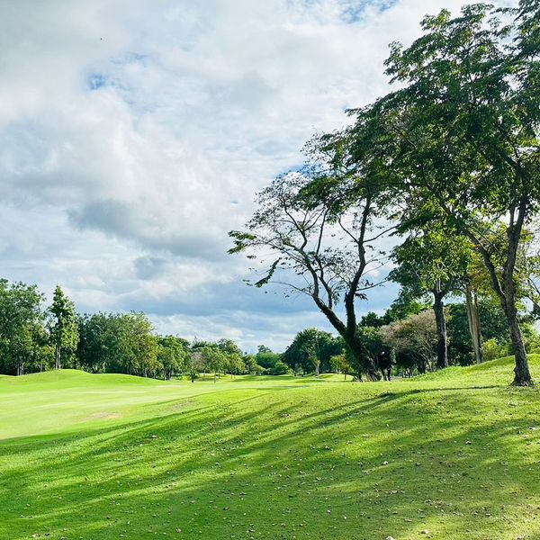 Springfield Royal Country Club golf golf buggy and golf course