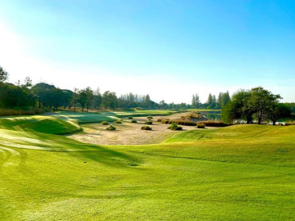 Springfield Royal Country Club golf grass and golf course