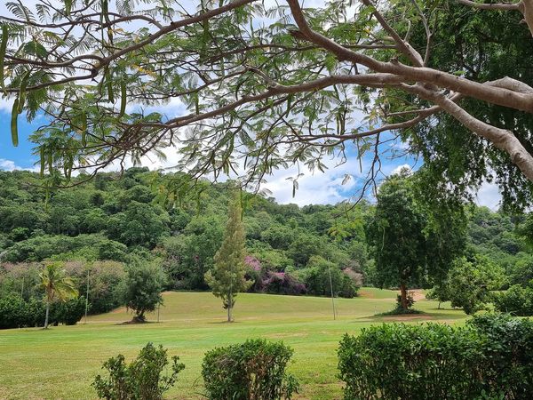 Hua Hin Korea Golf Club amp Milpordparadise Hotel nbsp jacaranda grass tree and golf course